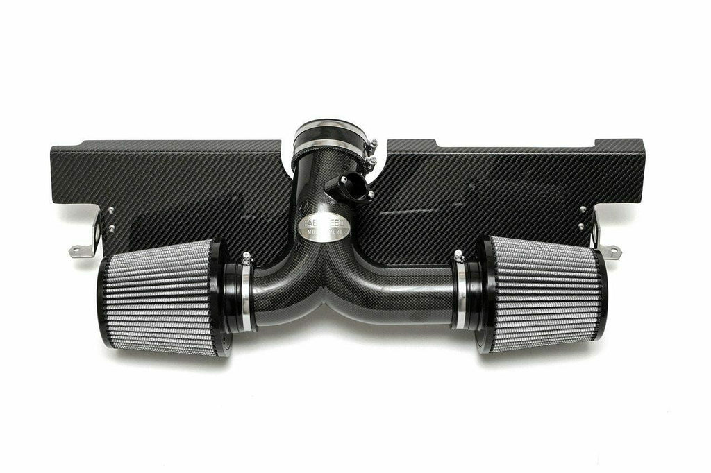 Fabspeed Porsche 997.2 Carrera Carbon Fiber Competition Intake System (2009-2012)