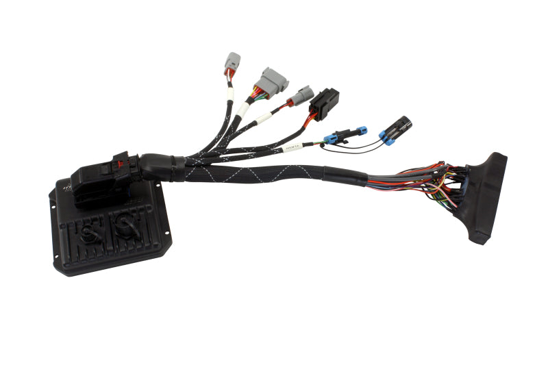 AEM Infinity-6/8h PnP Jumper Harness