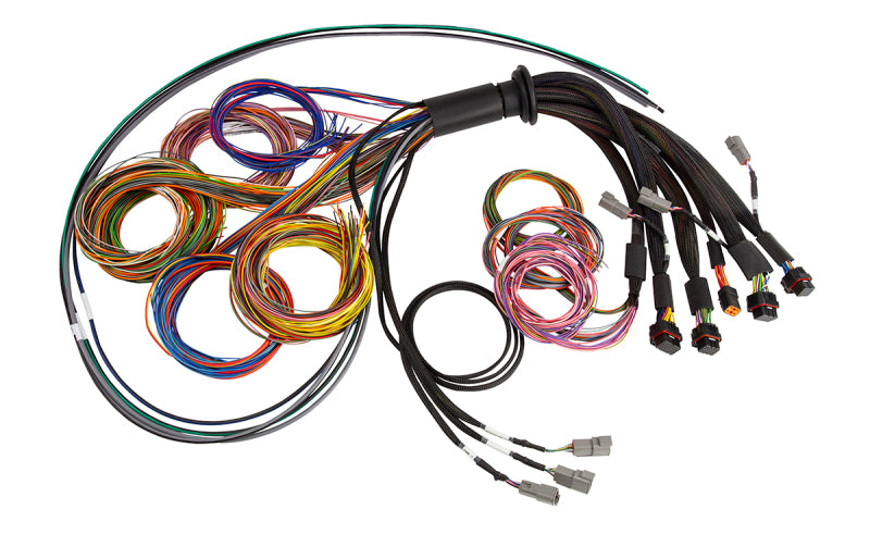 Haltech NEXUS R5 Basic Universal Wire-In Harness