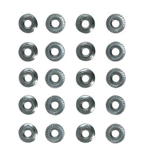 Load image into Gallery viewer, Moroso Oil Pan Nuts - 1/4in x 28in - 20 Pack