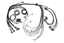 Load image into Gallery viewer, Haltech V8 BB/SB GM/Ford/Chrysler Hemi Elite 2500 &amp; REM 16 Injector Terminated Harness w/EV1 Inj