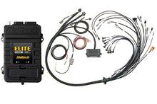 Load image into Gallery viewer, Haltech Elite 2500 Terminated Harness ECU Kit w/ EV1 Injector