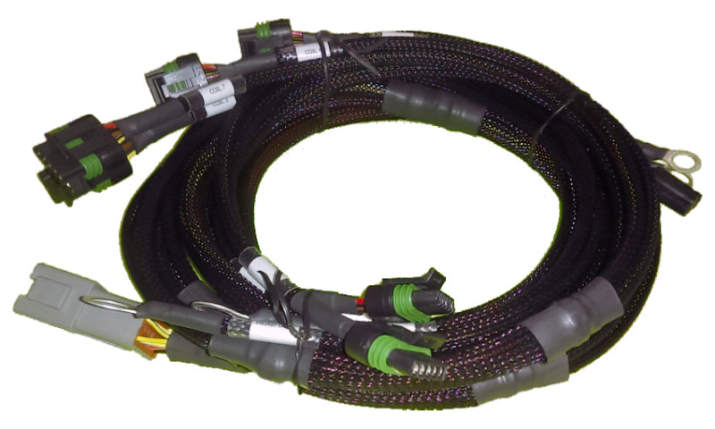 Haltech Big Block/Small Block Ford V8 8 Channel Individual High Output IGN-1A Inductive Coil Harness