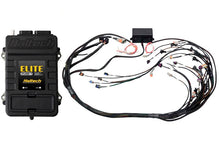 Load image into Gallery viewer, Haltech Elite 2500 Adaptor Harness ECU Kit