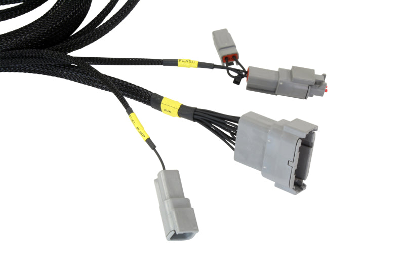 AEM Infinity PnP Harness